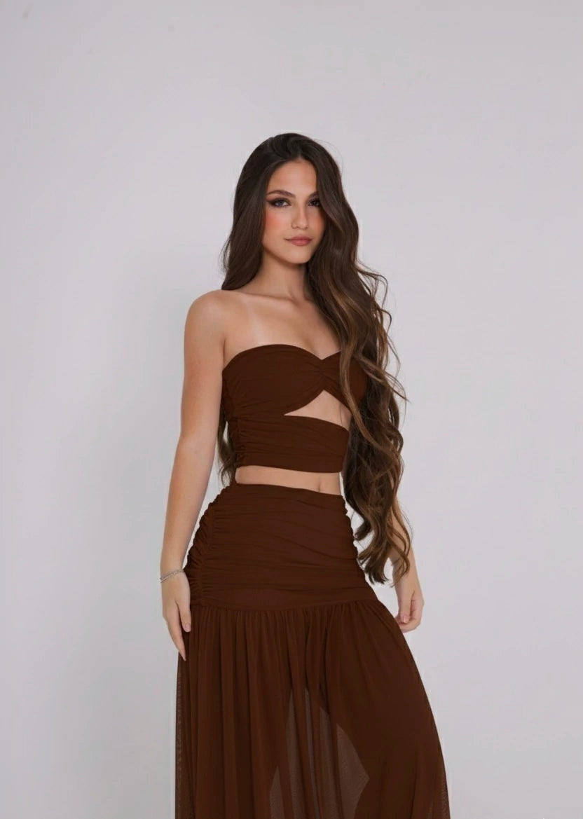 Conjunto tule violeta marrom